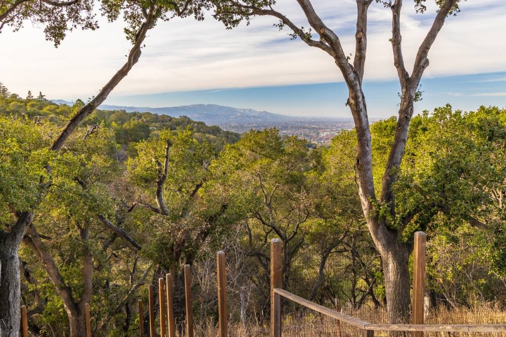 A distant image of Los Gatos, California (CA)