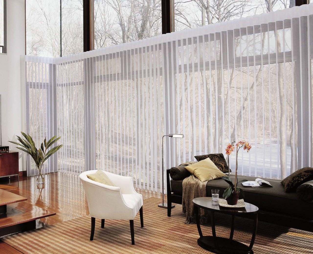 Hunter Douglas sheer shades as festive window treatments on floor-to-ceiling windows overlooking bare winter trees outside at Blinds ‘N’ Shades Express near Campbell, CA